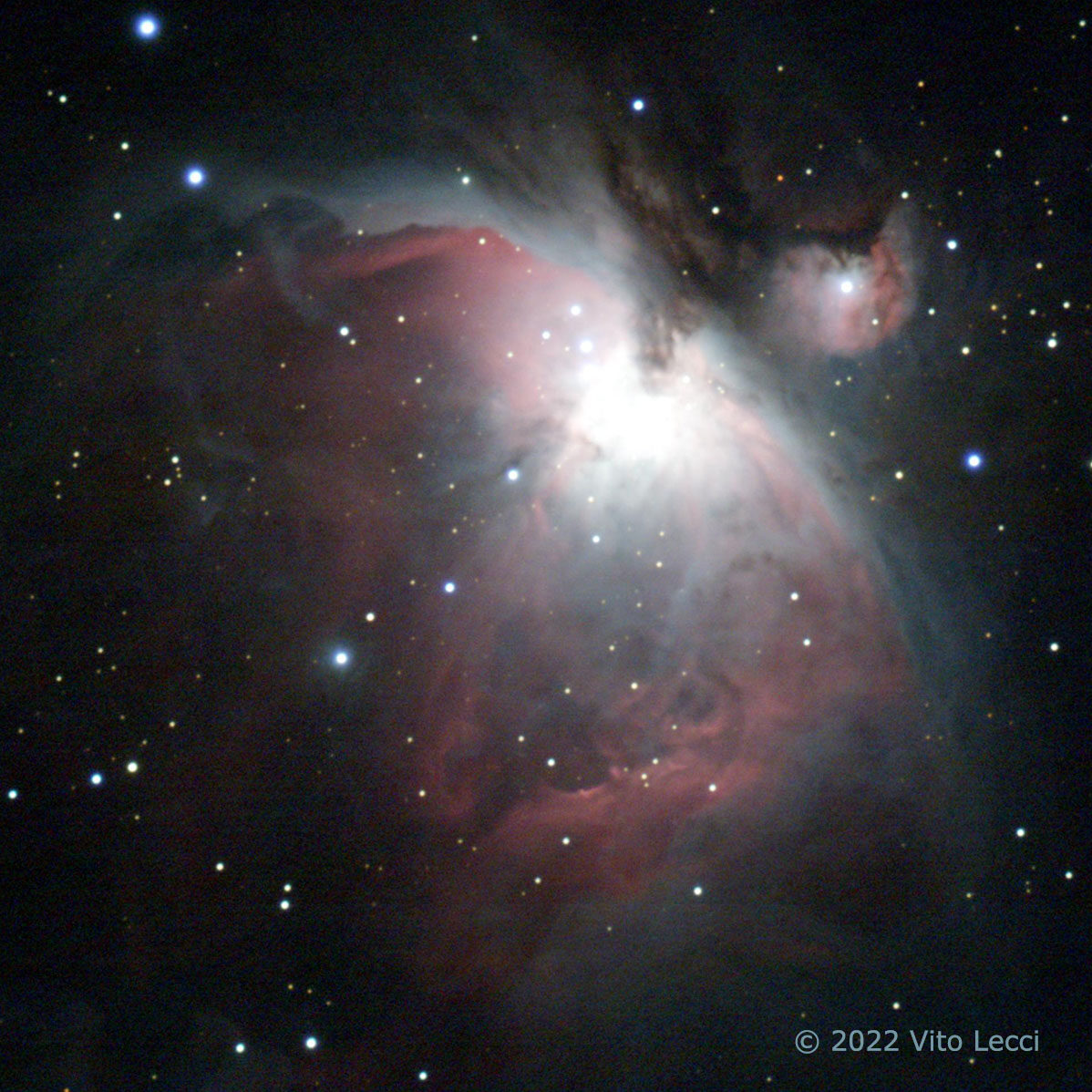 cropped-M42-Vito-Lecci-1.jpg